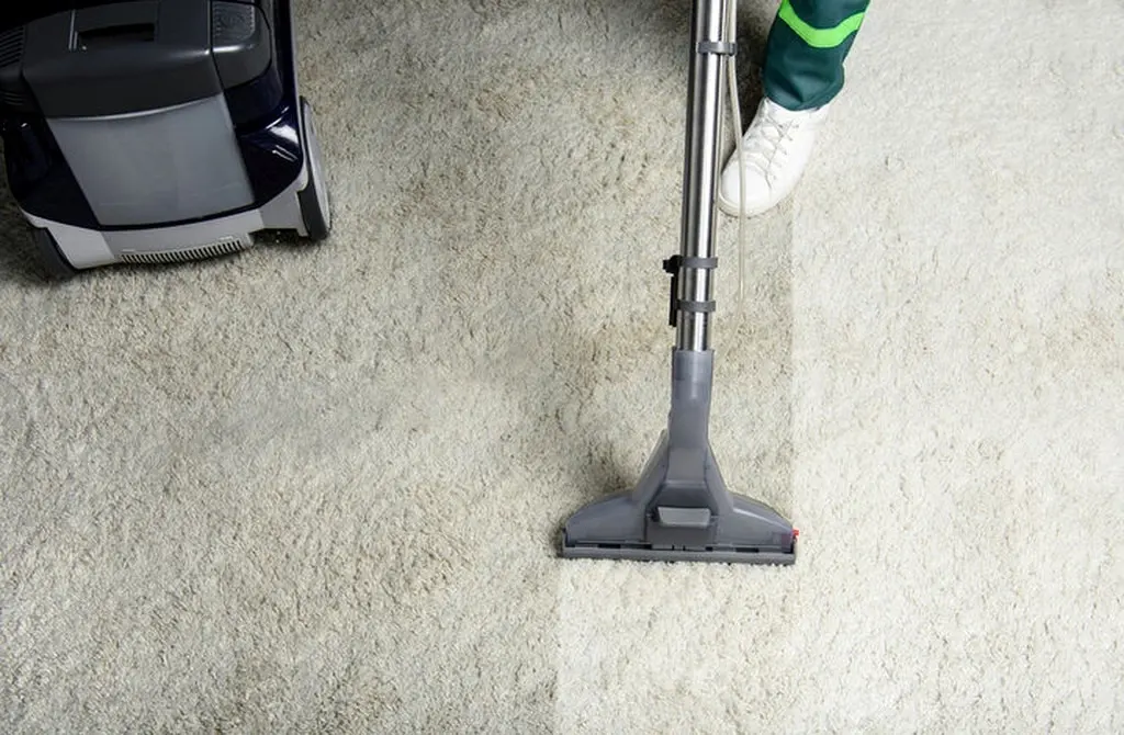Carpet Cleaning for Airbnb and VRBO Rentals in Coconut Grove
